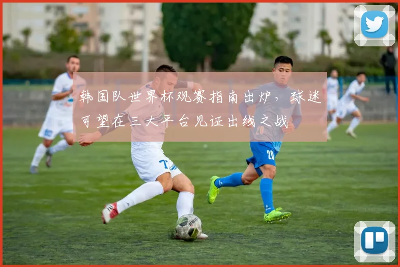 韩国队世界杯观赛指南出炉，球迷可望在三大平台见证出线之战
