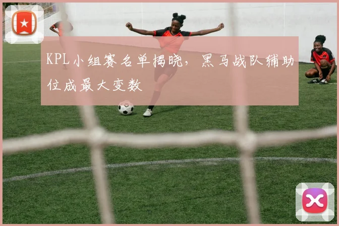 KPL小组赛名单揭晓，黑马战队辅助位成最大变数