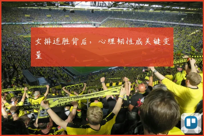 女排连胜背后，心理韧性成关键变量