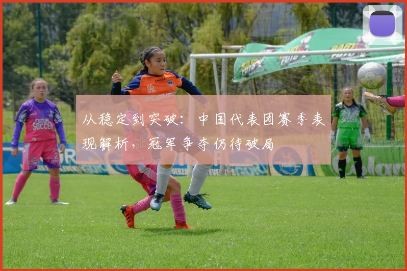 从稳定到突破：中国代表团赛季表现解析，冠军争夺仍待破局