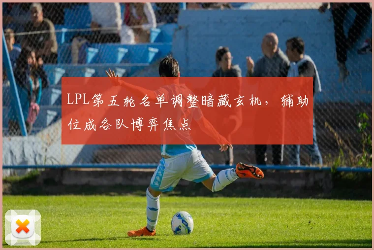 LPL第五轮名单调整暗藏玄机，辅助位成各队博弈焦点