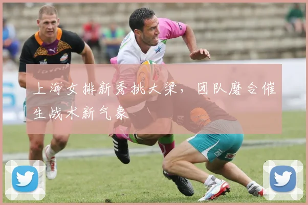 上海女排新秀挑大梁，团队磨合催生战术新气象